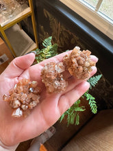 Load image into Gallery viewer, The Consecrated Crystal Crystals, Stones, Minerals A D E G Aragonite
