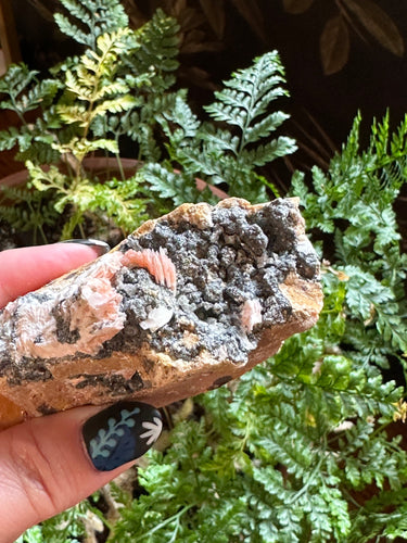 The Consecrated Crystal Crystals, Stones, Minerals B Cerussite Barite Galena Combo Clusters