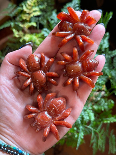 The Consecrated Crystal Crystals, Stones, Minerals Carnelian Spiders