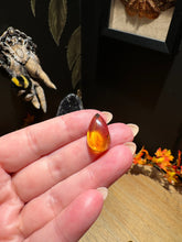 Load image into Gallery viewer, The Consecrated Crystal Crystals, Stones, Minerals Chiapas Amber Shapes
