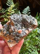 Load image into Gallery viewer, The Consecrated Crystal Crystals, Stones, Minerals D Cerussite Barite Galena Combo Clusters
