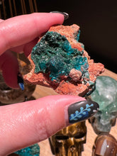 Load image into Gallery viewer, The Consecrated Crystal Crystals, Stones, Minerals E Dioptase Pieces
