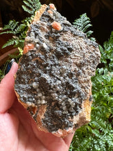 Load image into Gallery viewer, The Consecrated Crystal Crystals, Stones, Minerals F Cerussite Barite Galena Combo Clusters
