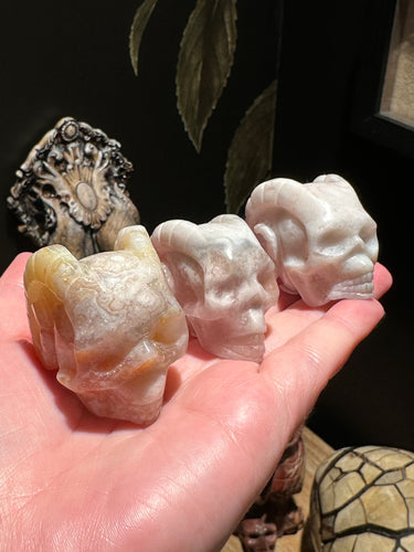 The Consecrated Crystal Crystals, Stones, Minerals Flower Agate Horned Skull