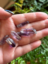 Load image into Gallery viewer, The Consecrated Crystal Crystals, Stones, Minerals Guerrero Amethyst Points
