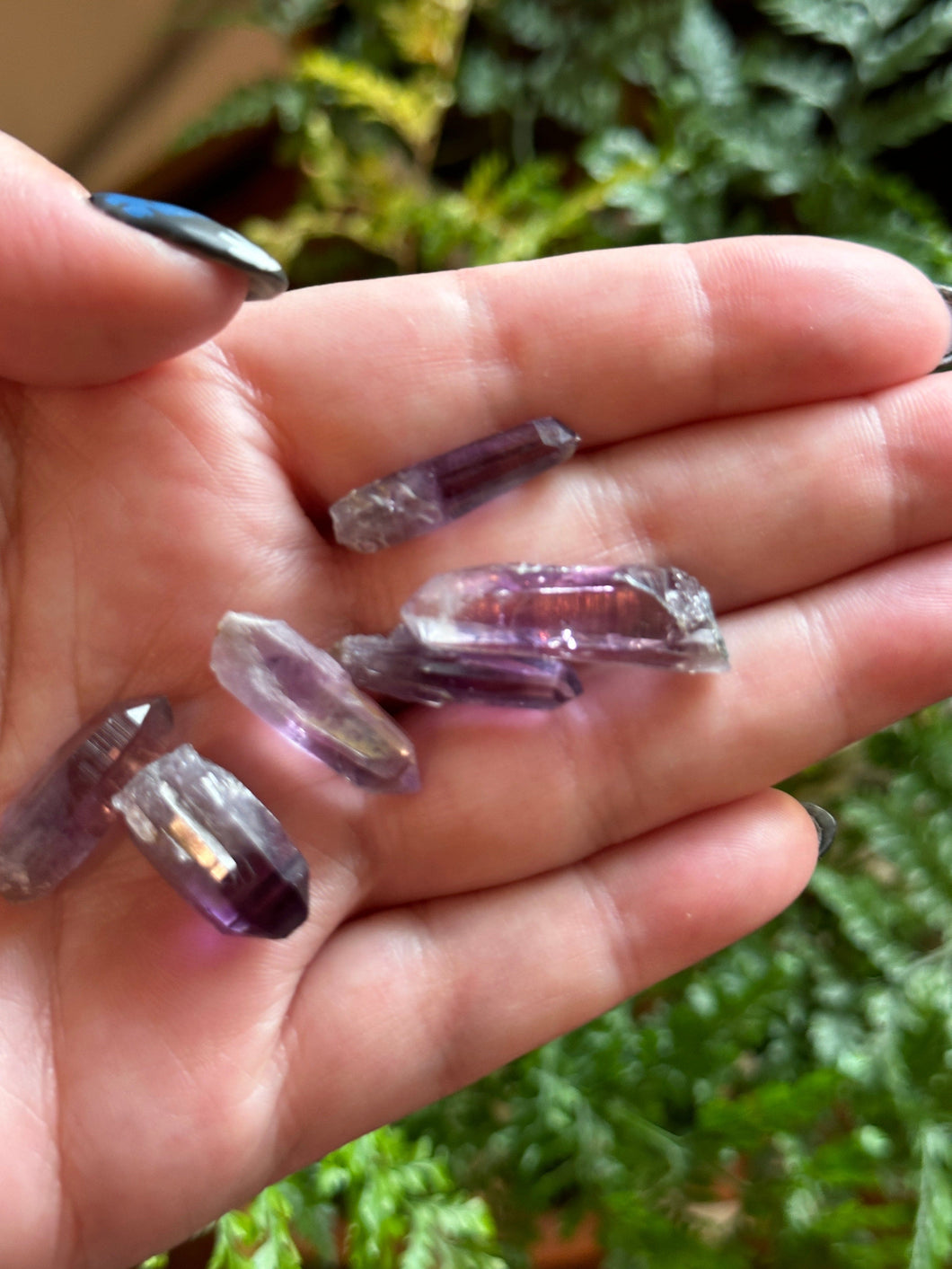 The Consecrated Crystal Crystals, Stones, Minerals Guerrero Amethyst Points