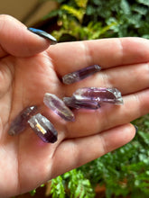 Load image into Gallery viewer, The Consecrated Crystal Crystals, Stones, Minerals Guerrero Amethyst Points
