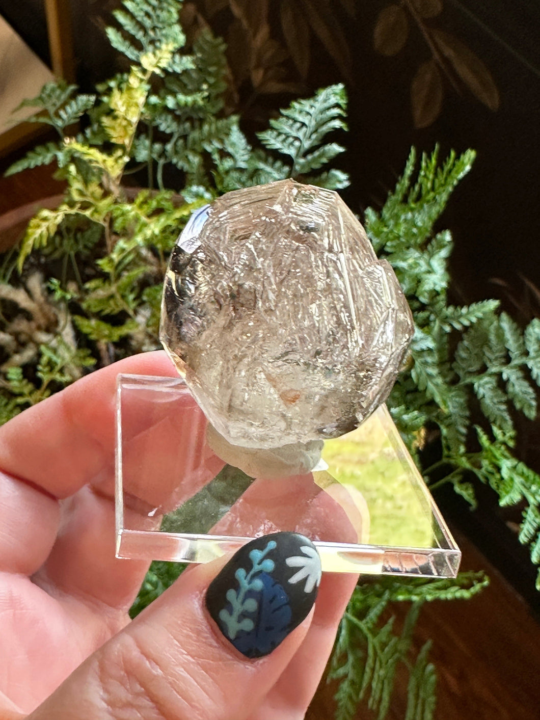 The Consecrated Crystal Crystals, Stones, Minerals H Q V Fenster/Window Quartz (Goboboseb Brandberg)