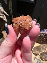 Load image into Gallery viewer, The Consecrated Crystal Crystals, Stones, Minerals K Aragonite
