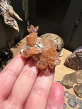 Load image into Gallery viewer, The Consecrated Crystal Crystals, Stones, Minerals M Aragonite
