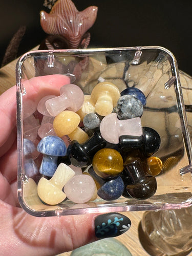 The Consecrated Crystal Crystals, Stones, Minerals Mini Mixed Mushies