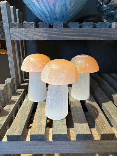 The Consecrated Crystal Crystals, Stones, Minerals Peach and White Satin Spar Mushies