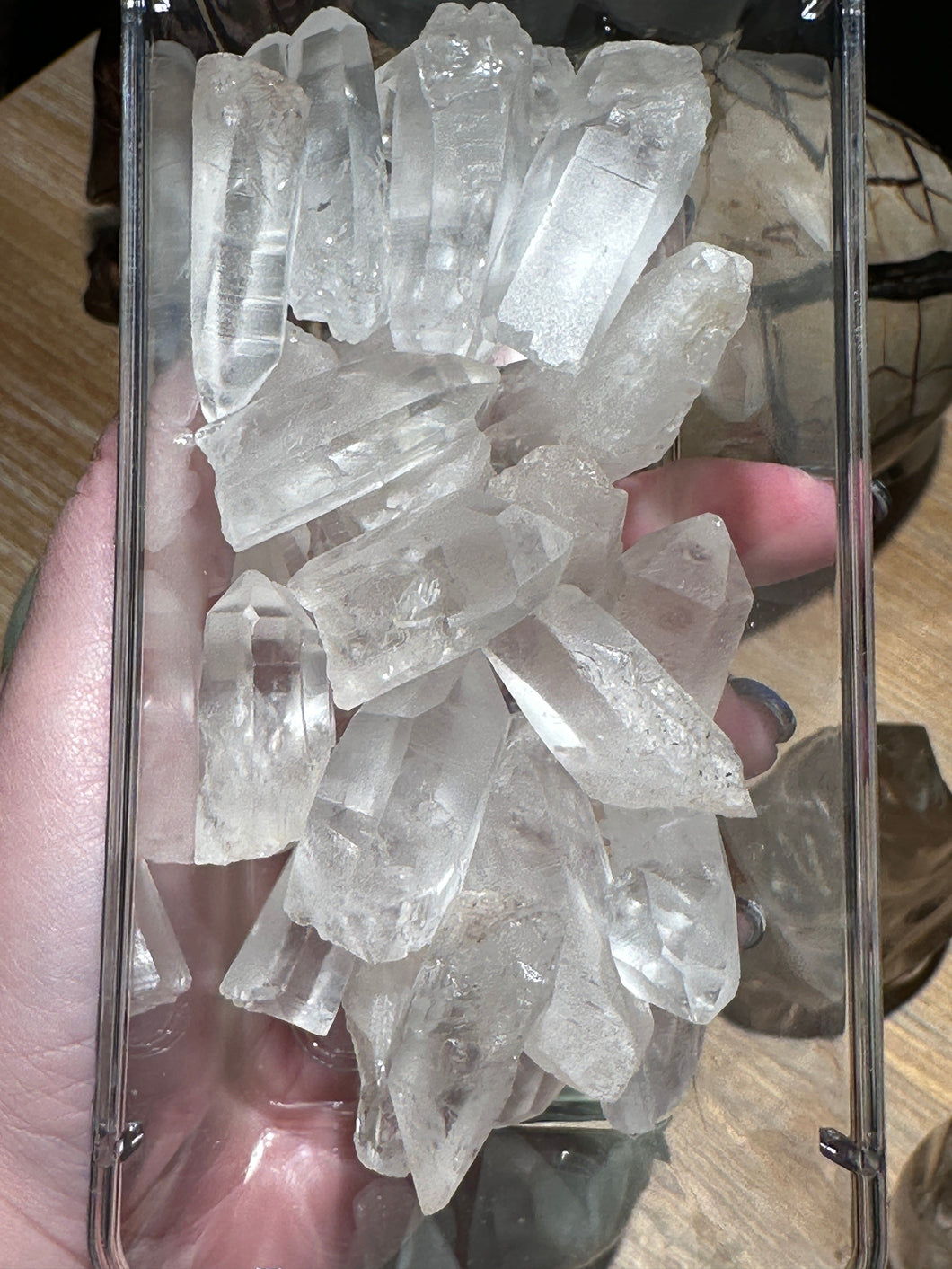 The Consecrated Crystal Crystals, Stones, Minerals Small Rough Lemurian Points