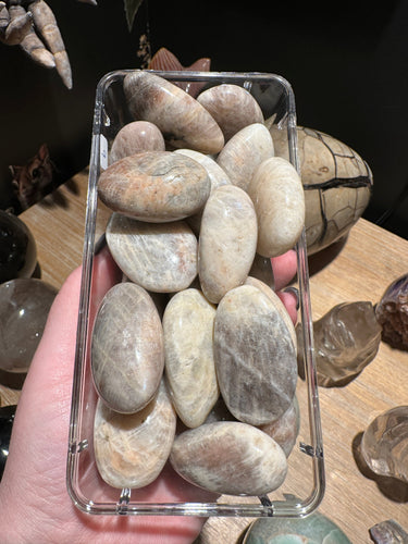 The Consecrated Crystal Crystals, Stones, Minerals Sunstone/Moonstone Pumbles