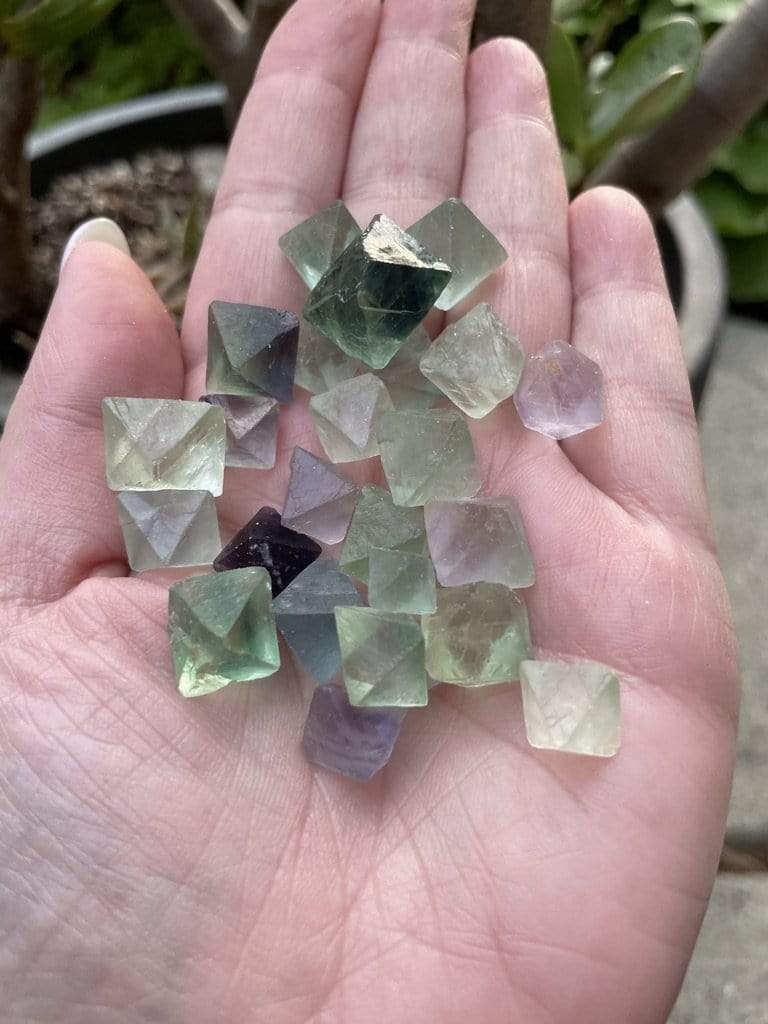 BlessedEstuary Crystals, Stones, Minerals 25g (4-8 pieces) Octahedral Fluorite Tumbles