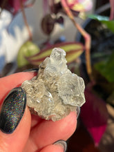 Load image into Gallery viewer, The Consecrated Crystal Crystals, Stones, Minerals Aquamarine w/Muscovite Mica Clusters
