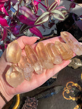 Load image into Gallery viewer, The Consecrated Crystal Crystals, Stones, Minerals B E F G K L N P R S T U Golden Healer Quartz Points
