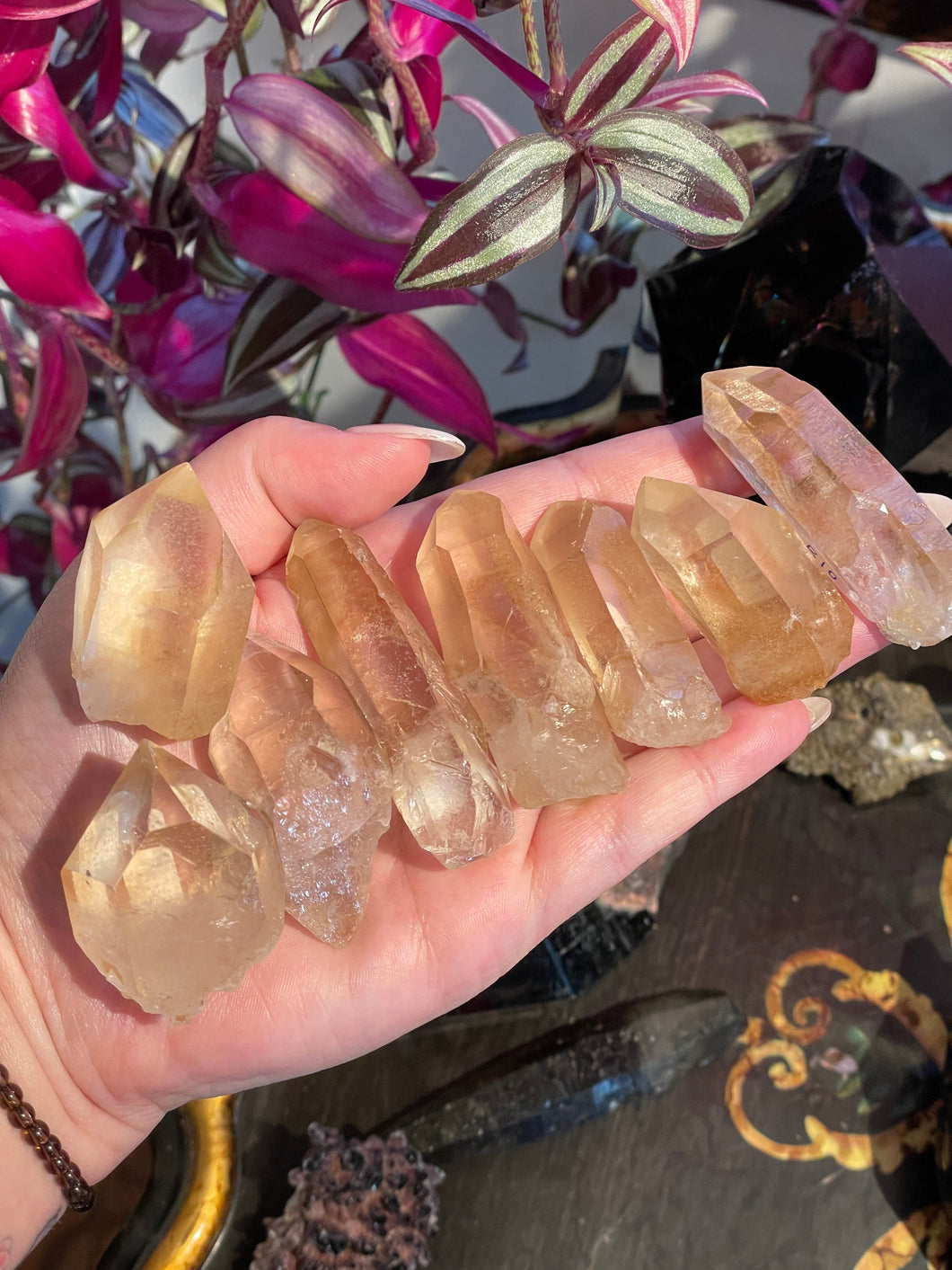 The Consecrated Crystal Crystals, Stones, Minerals B E F G K L N P R S T U Golden Healer Quartz Points