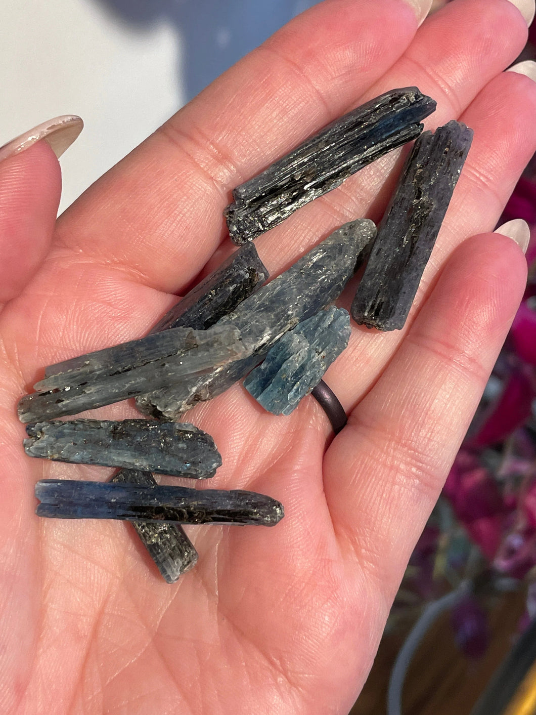 The Consecrated Crystal Crystals, Stones, Minerals Blue Kyanite w/Black Mica Pieces