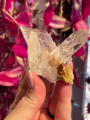 The Consecrated Crystal Crystals, Stones, Minerals D HQ Selenite w/Orange Calcite Clusters