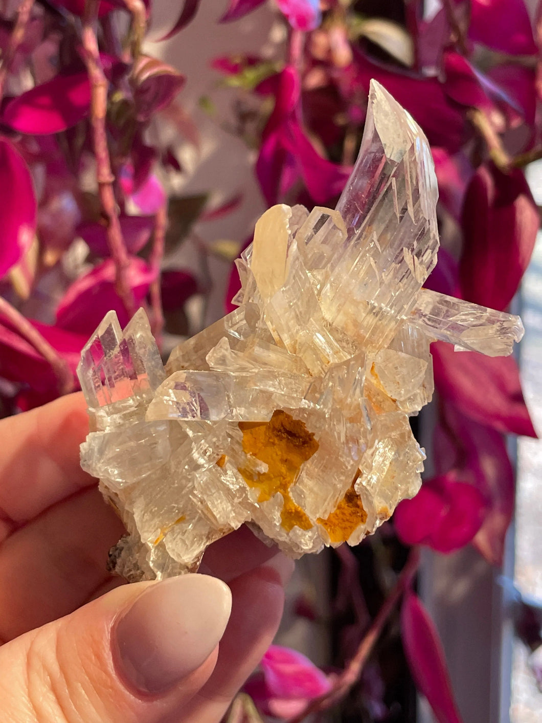 The Consecrated Crystal Crystals, Stones, Minerals F HQ Selenite w/Orange Calcite Clusters
