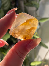 Load image into Gallery viewer, The Consecrated Crystal Crystals, Stones, Minerals G Dendritic Golden Healer Cabochons
