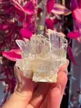 Load image into Gallery viewer, The Consecrated Crystal Crystals, Stones, Minerals G HQ Selenite w/Orange Calcite Clusters

