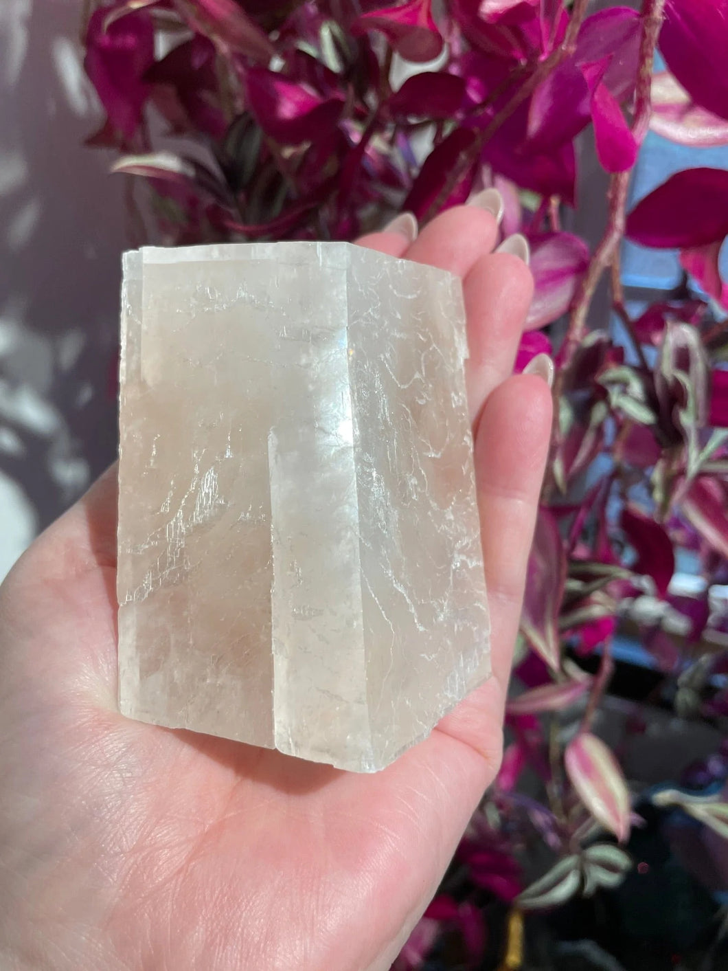 The Consecrated Crystal Crystals, Stones, Minerals G Pink Optical Calcite