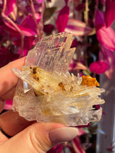 Load image into Gallery viewer, The Consecrated Crystal Crystals, Stones, Minerals H HQ Selenite w/Orange Calcite Clusters
