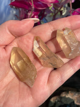 Load image into Gallery viewer, The Consecrated Crystal Crystals, Stones, Minerals I O Q V W Golden Healer Quartz Points
