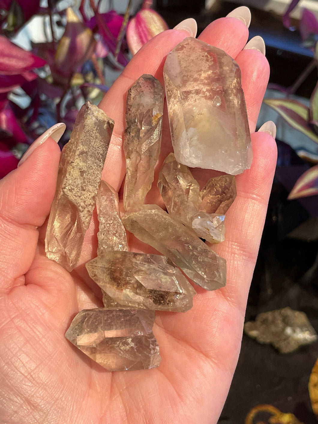 The Consecrated Crystal Crystals, Stones, Minerals Included Quartz Points