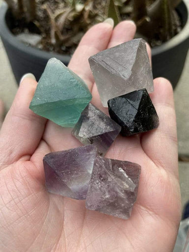BlessedEstuary Crystals, Stones, Minerals Large Octa Octahedral Fluorite Tumbles