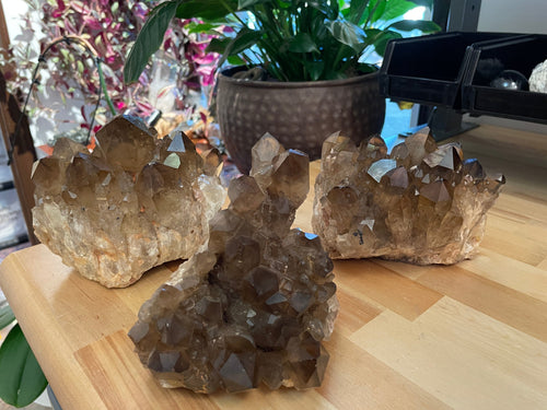 The Consecrated Crystal Crystals, Stones, Minerals Lrg Kundaline Citrine Clusters