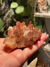 Load image into Gallery viewer, The Consecrated Crystal Crystals, Stones, Minerals O Red Phantom Quartz Clusters

