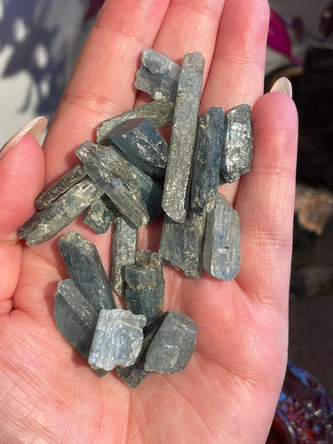 The Consecrated Crystal Crystals, Stones, Minerals Sm Tanzanian Kyanite Pieces