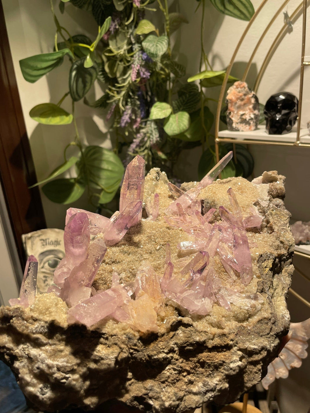 The Consecrated Crystal Crystals, Stones, Minerals XL Vera Cruz Amethyst Cluster